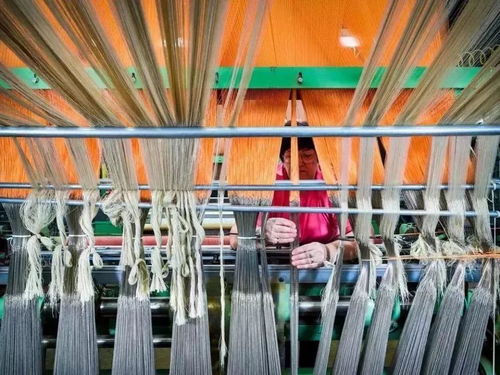 美國(guó)出口管制清單新增14類(lèi)技術(shù)，特種紡織品貿(mào)易面臨新挑戰(zhàn)